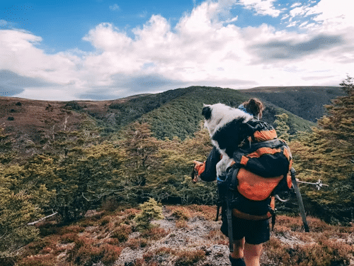 Tuxapo Carrying a backpack to the top of the mountain